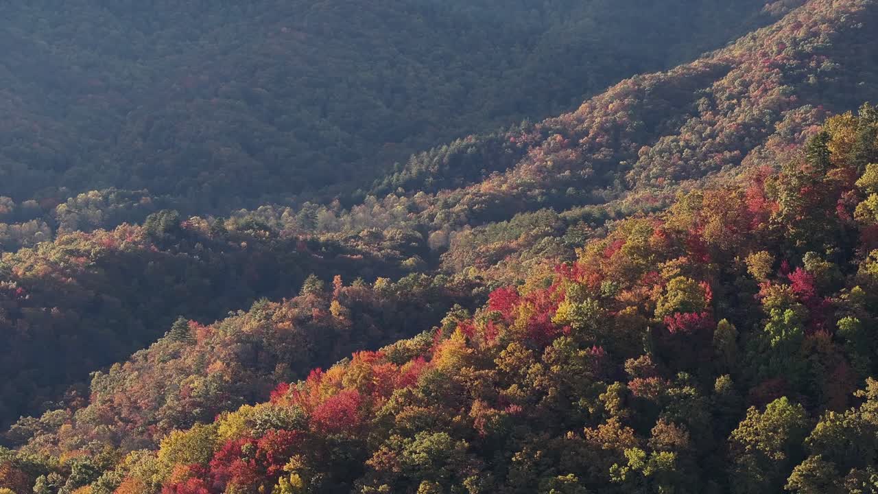 Drone view of colorful trees in Marble NC