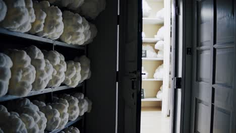 cloud storage room with white cloud decor