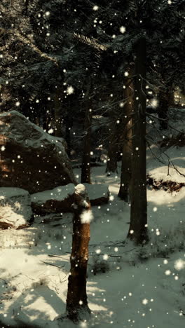 snowy winter forest scene