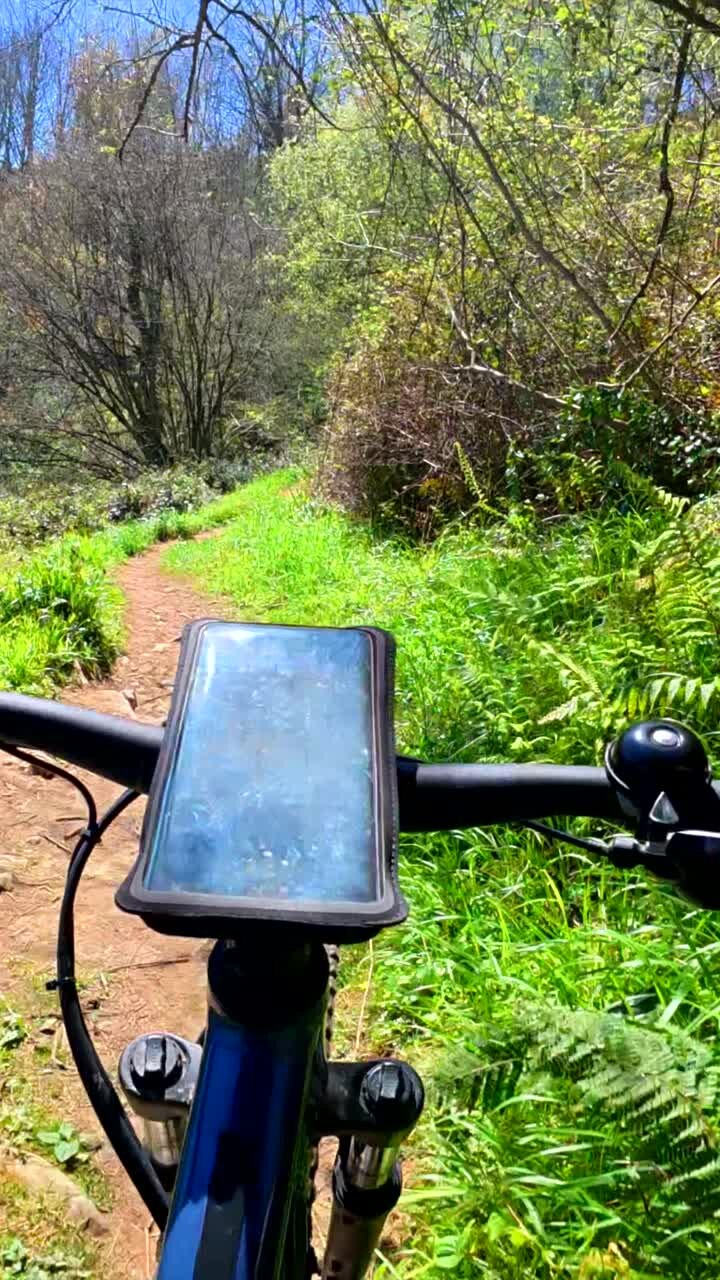 Mountain biking on a forest trail