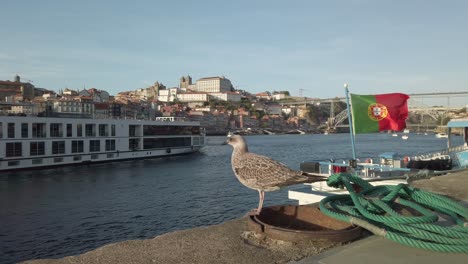 gaviota observando un barco desde el muelle en el río douro, porto, portugal