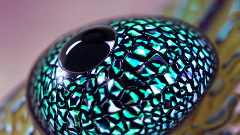 close-up of an iridescent snake eye
