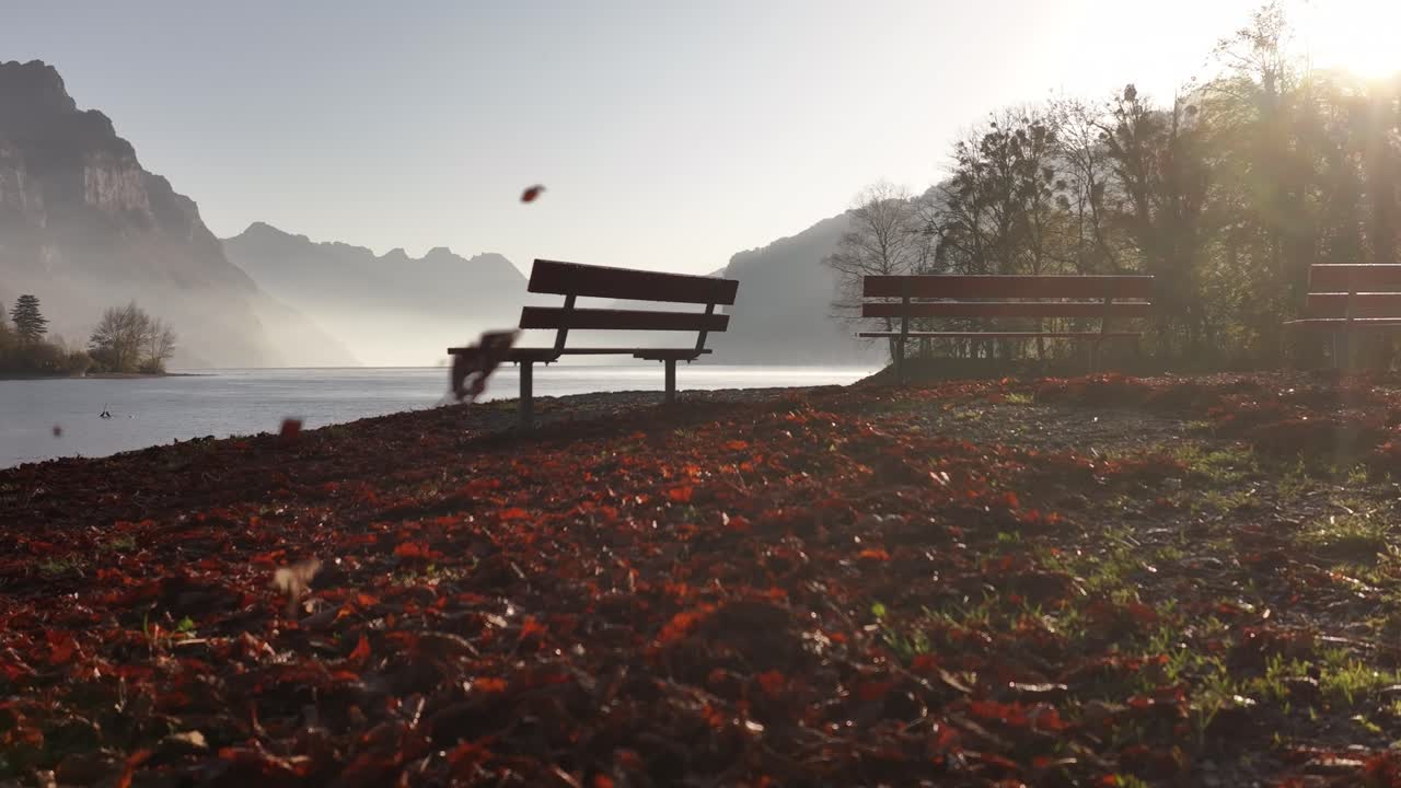 Cinematic image of a park with two benches on the shores of a lake in autumn, colorful leaves flying in the air.