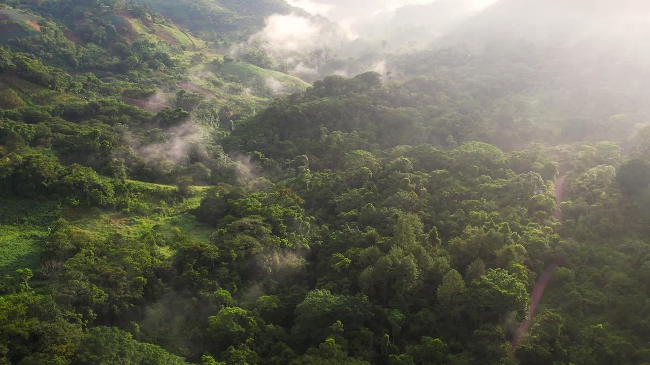 vista aérea cinematográfica del bosque brumoso en las selvas centroamericanas, honduras