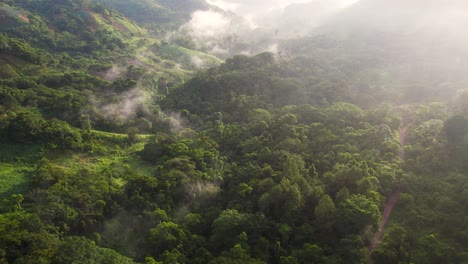 Cinematic-Aerial-view-of-misty-forest-in-Central-American-jungles,-Honduras