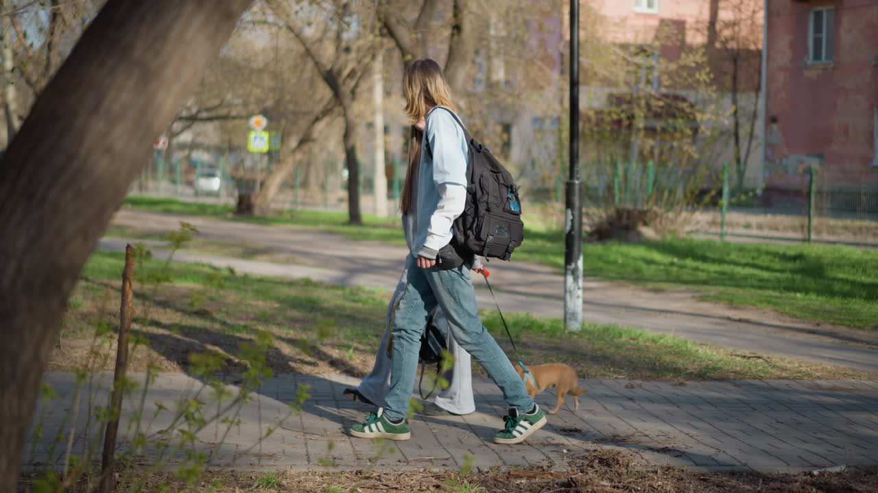 young male companion and canine meander, young caucasian man ambling with small dog along wooded trail, youthful individual of caucasian descent strolling with his pet dog beside treelined pathway