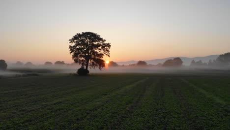 Sonnenaufgang-Oder-Sonnenuntergang-In-Der-Natur-An-Einem-Nebligen-Morgen