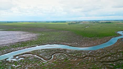 cracked mud flats in a salt marsh