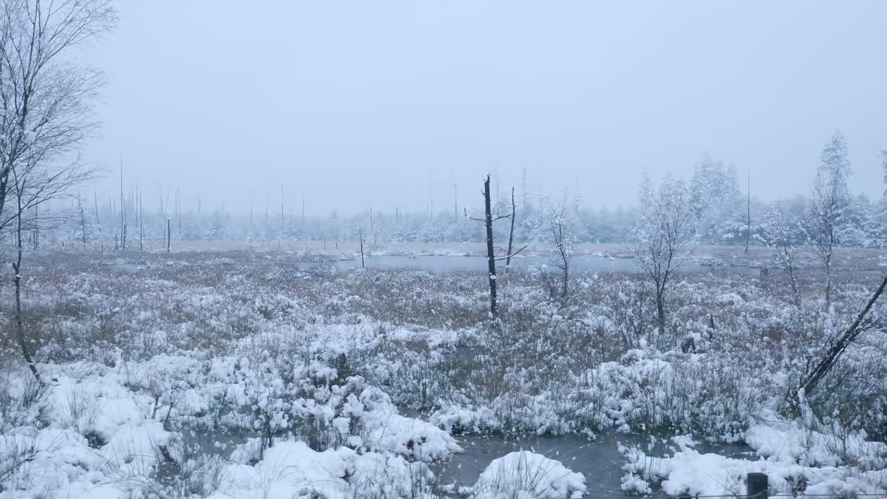 Verschneite Moorlandschaft
