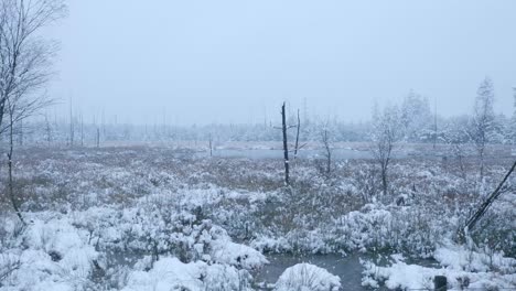 paisaje de pantano nevado
