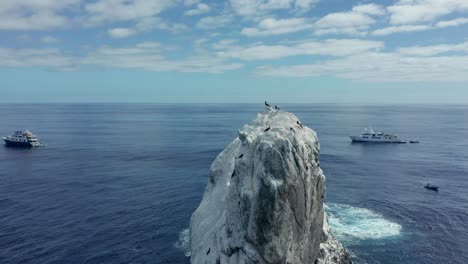 Primer-Plano-De-Aves-Marinas-Descansando-En-El-Islote-De-Roca-Partida-En-Las-Islas-Revillagigedo.