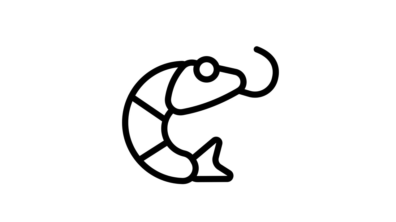 Animated Line Art Drawing of a Shrimp Icon