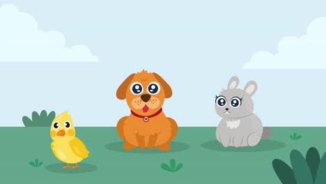 dog and rabbit characters animation