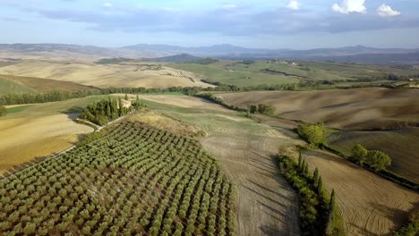 Villa-In-Der-Toskana,-Italien,-Mit-Olivenbaumplantagen-Und-Zypressen,-Luftaufnahme-Des-Kreises-Rechts