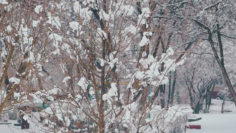 Árboles-Con-Una-Gruesa-Capa-De-Nieve-En-El-Jardín-Con-Ventisqueros.