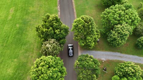el coche viaja a través de un exuberante paisaje suburbano.