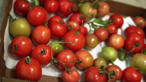 tomates cerrados en la canasta