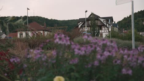 a house in the black forest in germany