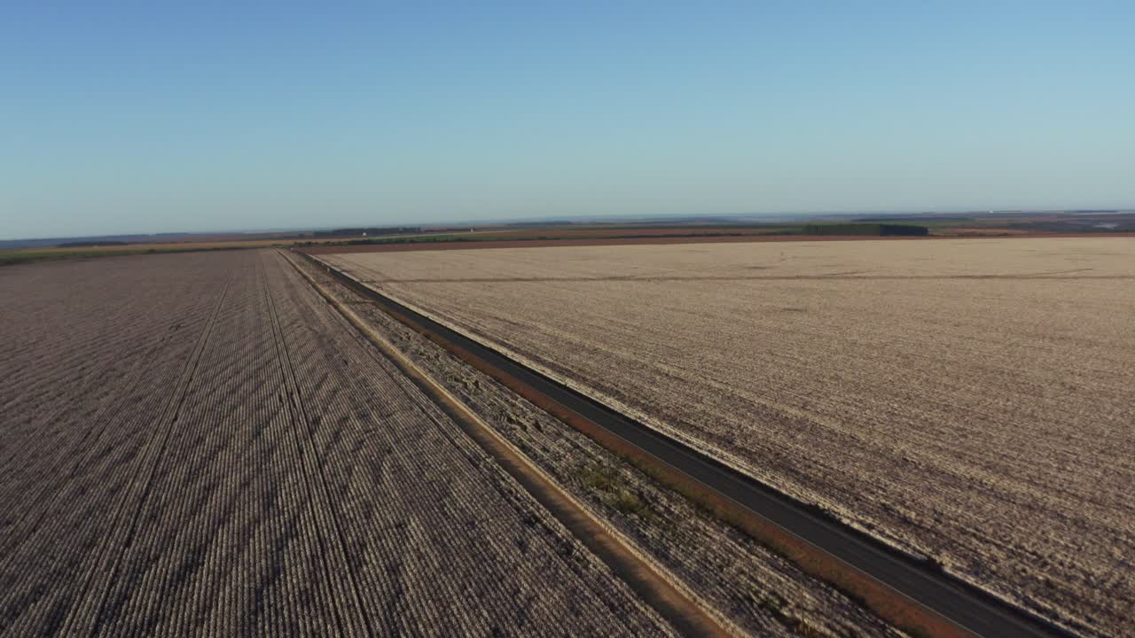 tranquilo paisaje aéreo de una carretera rural que pasa entre dos grandes campos de algodón en el campo