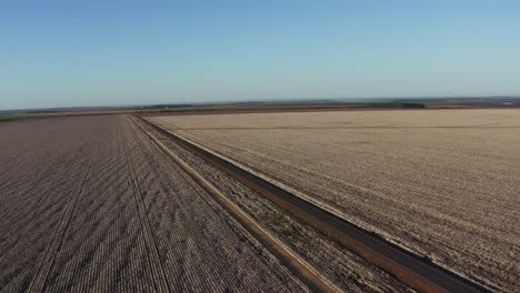 Tranquil-aerial-landscape-shot-of-a-country-road-passing-between-two-large-cotton-fields-in-the-countryside