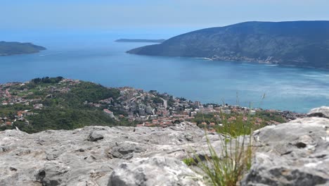 butterflies flying, beautiful mediterranean sea and mountain view, adriatic sea