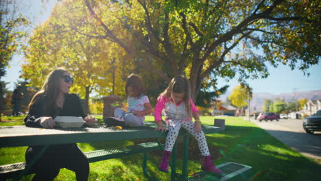 picnic familiar en el parque