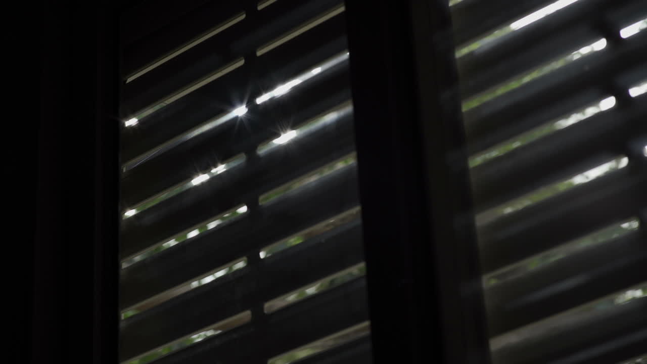 Electric shutters in a window are being opened until the garden in outside shows