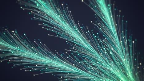 abstract floral background animation