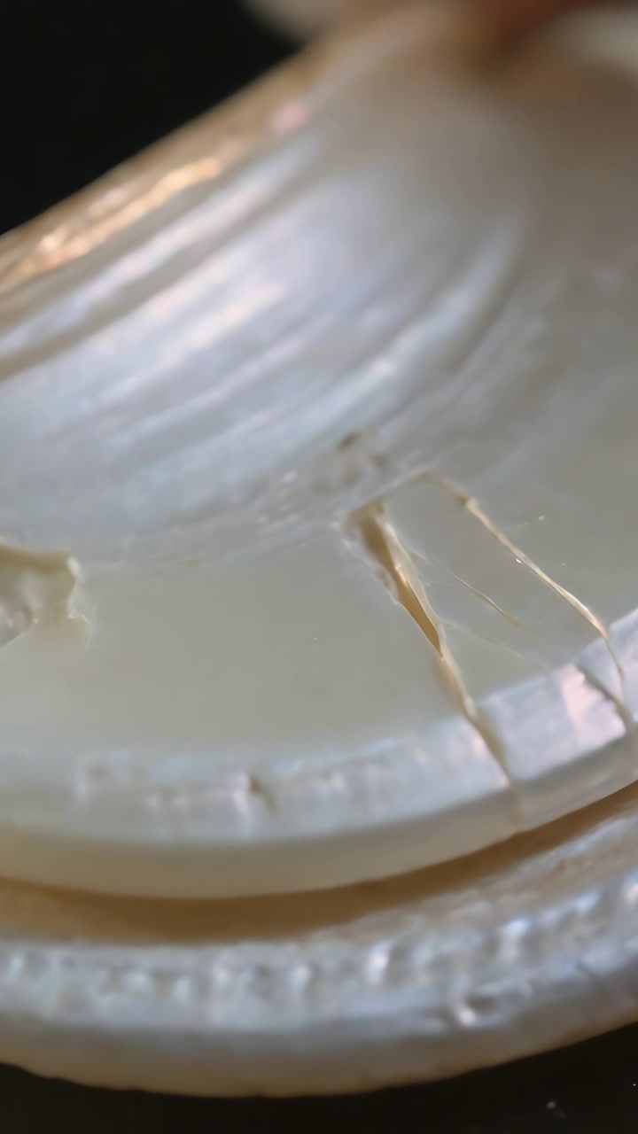 Video verticale: Panoramica della telecamera che rivela un frammento di madreperla, mostrando una crepa e anelli di crescita su una base scura illuminata.