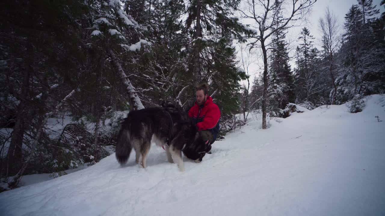 excursionista masculino tomando un descanso en una montaña nevada con su compañero malamute de alaska durante el invierno en noruega