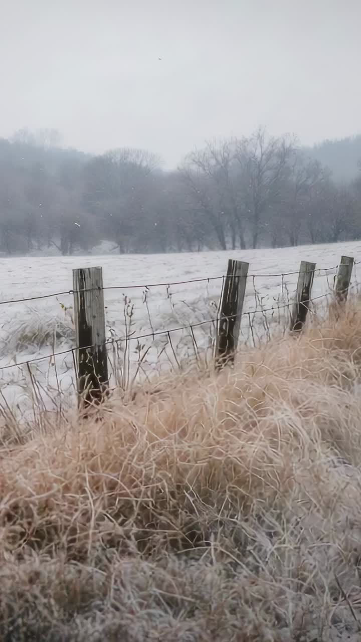Video verticale: ripresa panoramica con la fotocamera che mostra pali di recinzione, filo metallico ed erba gelida in un campo rurale che inquadra la nebbia
