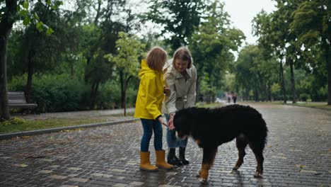 a happy girl in a yellow jacket and her mother pet a large black dog while walking on an alley in the park after the rain