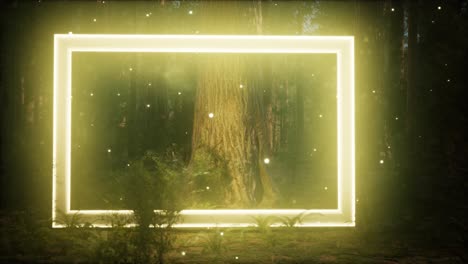 neon glowing rectangle frame in the night forest