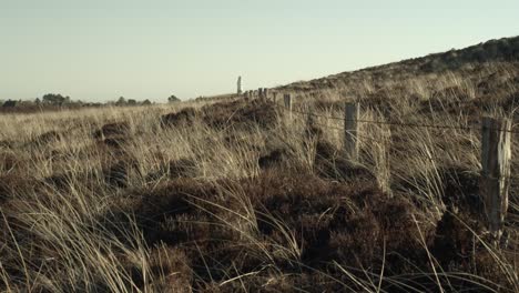 dunes on sylt on a windy day with the lighthouse "langer christian" in the back