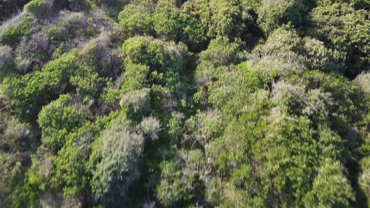 revelando playa solitaria en córcega
