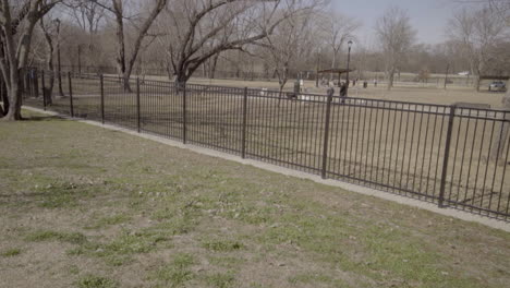 Esta-Es-Una-Toma-De-Perros-Corriendo-Y-Persiguiéndose-En-Un-Parque-Para-Perros