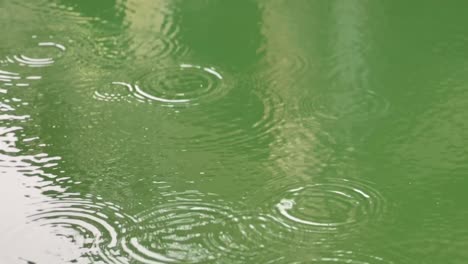 Raindrops-Over-Emerald-River-Water-In-Florence,-Oregon,-USA