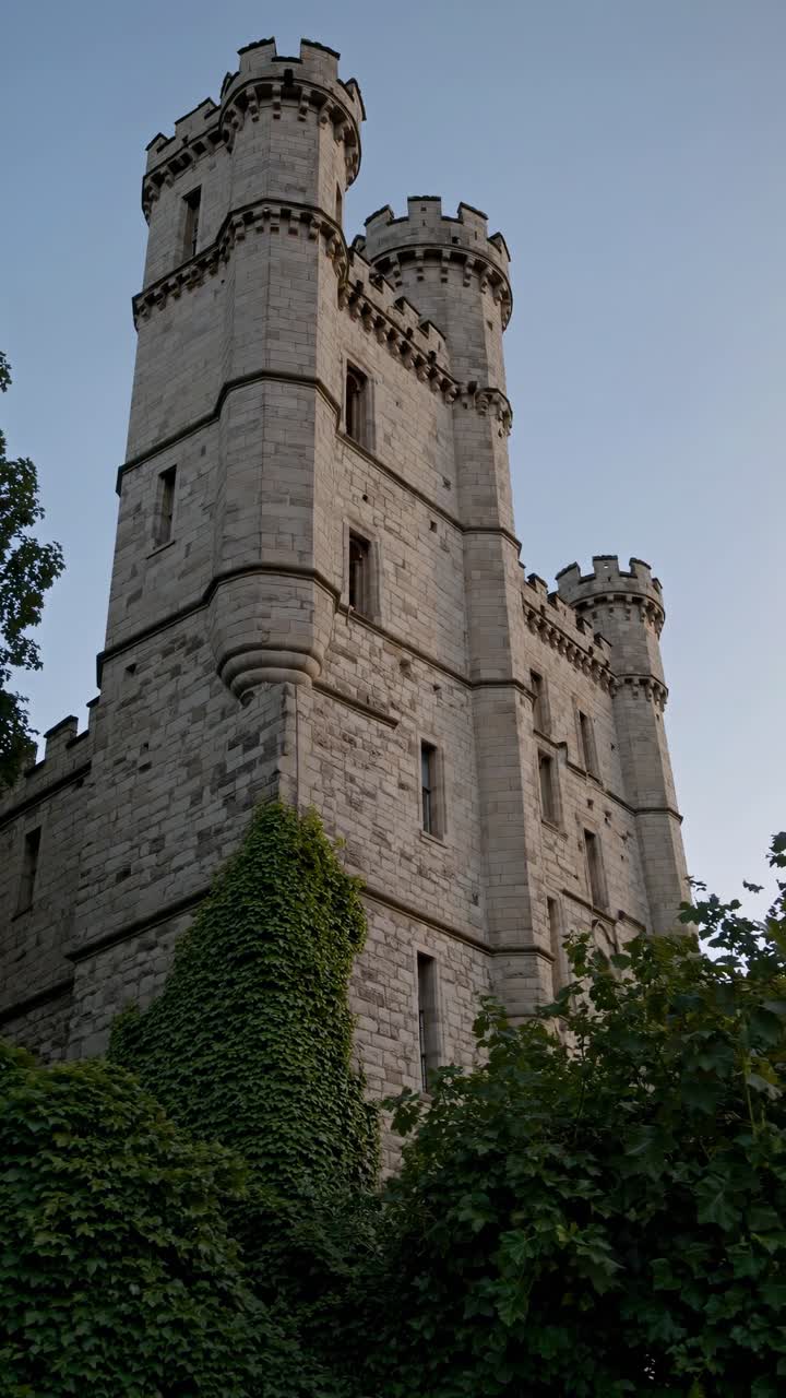 Imponenti torri di castello in pietra con edera, riprese dal basso, evocano un'ambientazione fantasy medievale