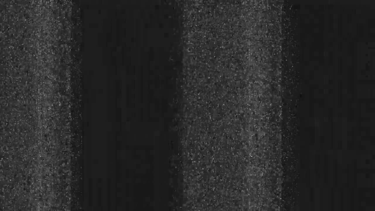 Glitches Horizontal Black and White_5 Sec