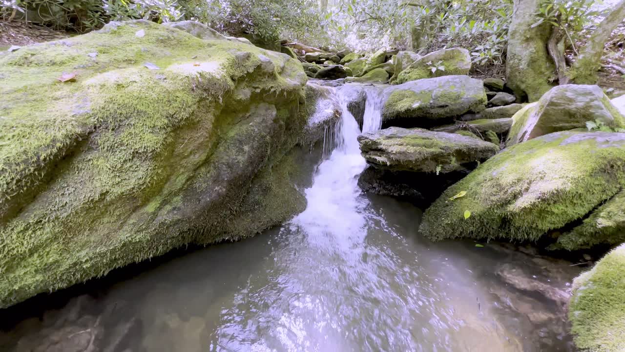 musgo en rocas con agua clara en las montañas de los apalaches