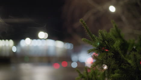 close-up of a pine tree branch at night, with beautiful bokeh light effects in the background