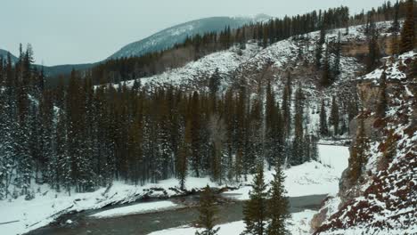 Fly-over-river-surrounded-with-frozen-pine-tree-forest-in-winter