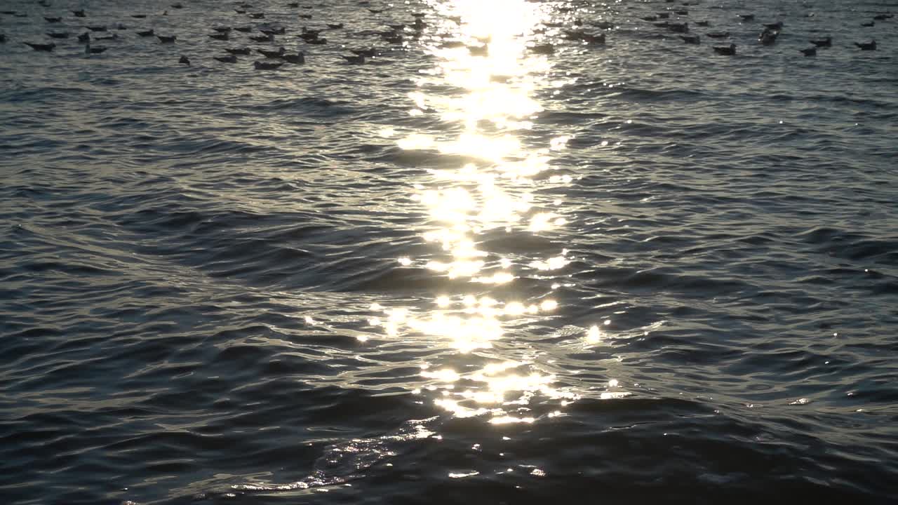 Solnedgang over havet. Slow Motion