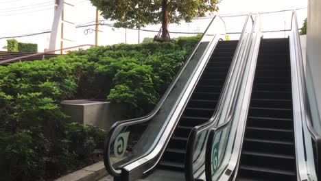 escalator with green city