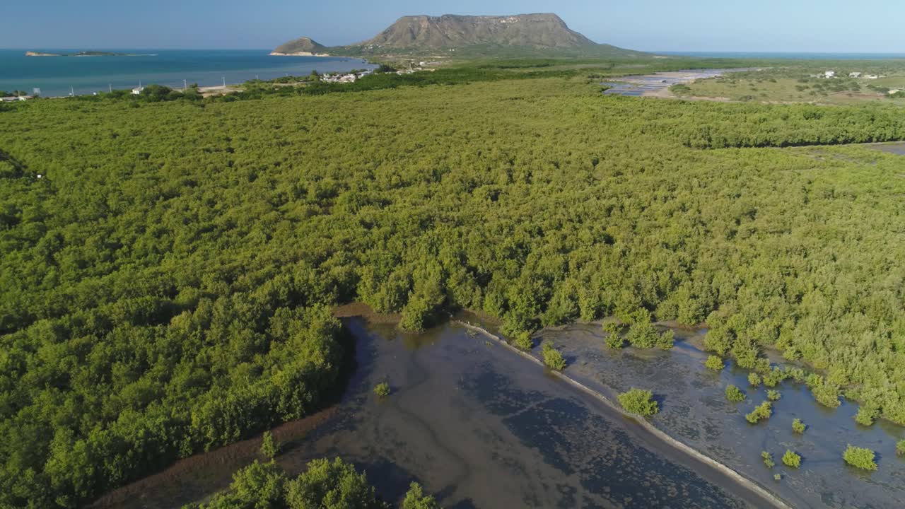Aerial view of vegetation near Montecristi promontory. Dominican Republic