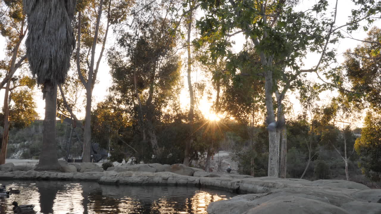 Lagoa durante o pôr do sol com pássaros e patos