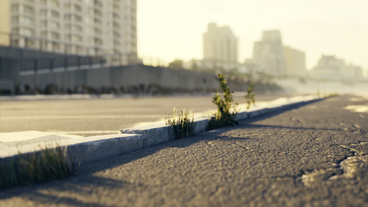 Urban landscape with resilient grass growing through cracked pavement at sunset