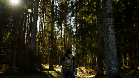 woman hiking in a sunny pine forest