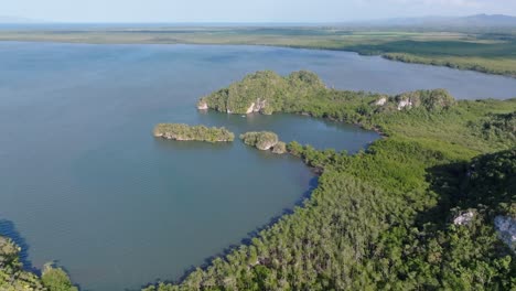 Remote-jungle-paradise,-ocean-shore-in-the-Dominican-republic,-aerial-forward