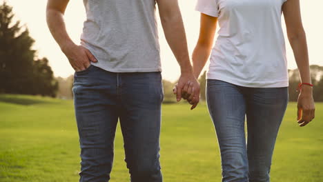 happy couple holdings hands and talking while walking together towards camera in the park